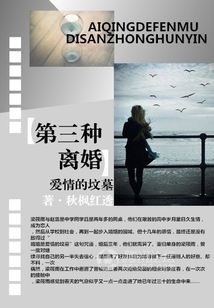 爱情的坟墓:第三种离婚