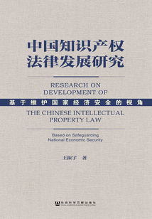 中国知识产权法律发展研究：基于维护国家经济安全的视角