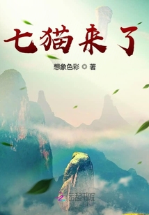 七貓來了