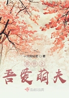 兽世