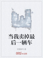 当我卖掉最后一辆车在线阅读