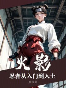 火影：忍者从入门到入土