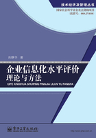 企业信息化水平评价理论与方法在线阅读