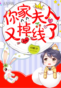 大神,你家夫人又掉線了