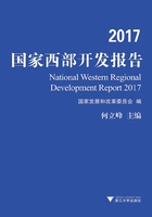 2017国家西部开发报告