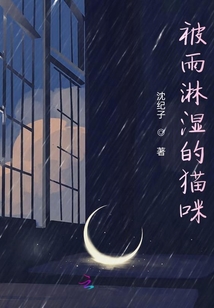 被雨淋濕的貓咪