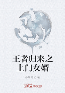王者歸來之上門女婿