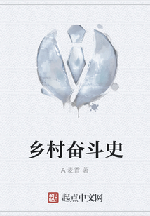 鄉(xiāng)村奮斗史