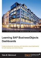 Learning SAP BusinessObjects Dashboards