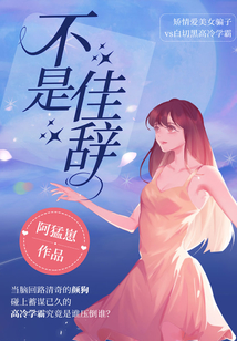 不是佳辭