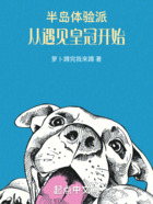 半岛体验派，从遇见皇冠开始在线阅读