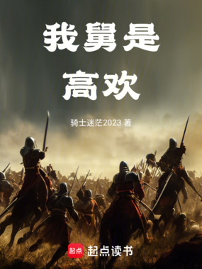 我舅是高欢在线阅读