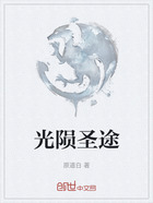 光陨圣途在线阅读