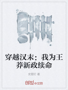 穿越汉末:我为王莽新政续命在线阅读