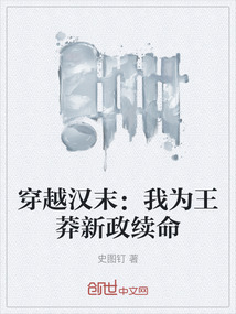 穿越漢末：我為王莽新政續命