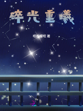 碎光重曦在线阅读