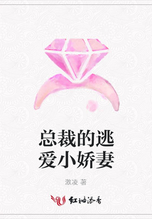总裁的逃爱小娇妻
