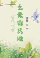 三生三世之素锦绣缘在线阅读