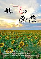 北飛的南燕在線閱讀
