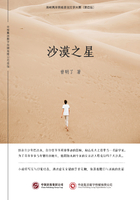 沙漠之星在线阅读