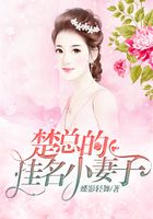 楚總的掛名小妻子在線閱讀