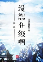 我真沒想升級啊在線閱讀