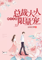 兩小無猜：總裁大人限量寵在線閱讀