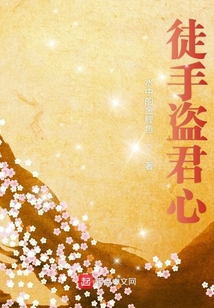 徒手盜君心