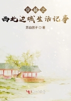 穿越之西北邊城生活記事在線閱讀