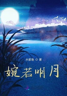 婉若明月