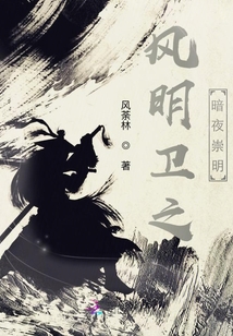 风明卫之暗夜崇明