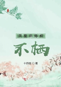 鳳凰非梧桐不棲