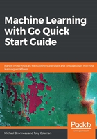 Machine Learning with Go Quick Start Guide