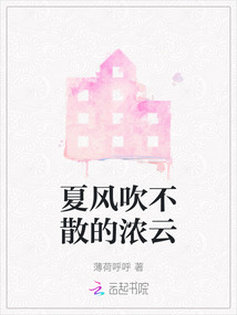 夏風(fēng)吹不散的濃云