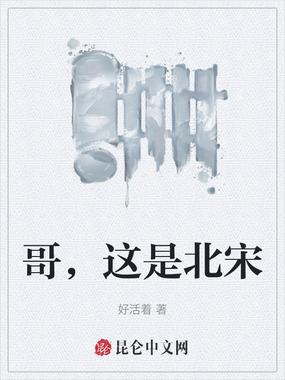 哥，这是北宋在线阅读