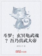 斗罗:玄冥龟武魂?吾乃真武大帝在线阅读