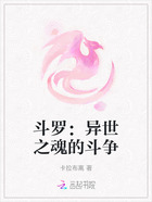 斗罗:异世之魂的斗争在线阅读