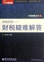 讲给您听：财税疑难解答在线阅读