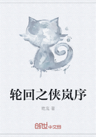 轮回之侠岚序在线阅读