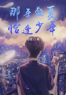 那年盛夏恰逢少年