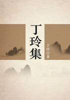 丁玲集在线阅读