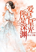 愛是星光，你是深淵在線閱讀