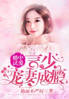 婚中试爱:言少宠妻成瘾在线阅读