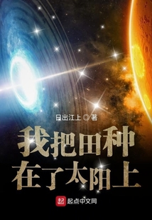 我把田種在了太陽上