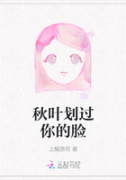 秋葉劃過你的臉在線閱讀
