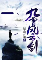 九霄風云劍在線閱讀