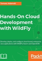 Hands-On Cloud Development with WildFly