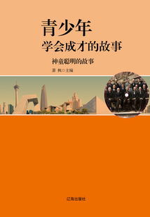 神童聰明的故事(青少年學會成才的故事)