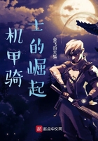 机甲骑士的崛起