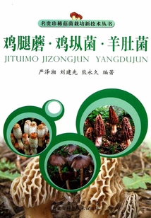 雞腿蘑·雞樅菌·羊肚菌